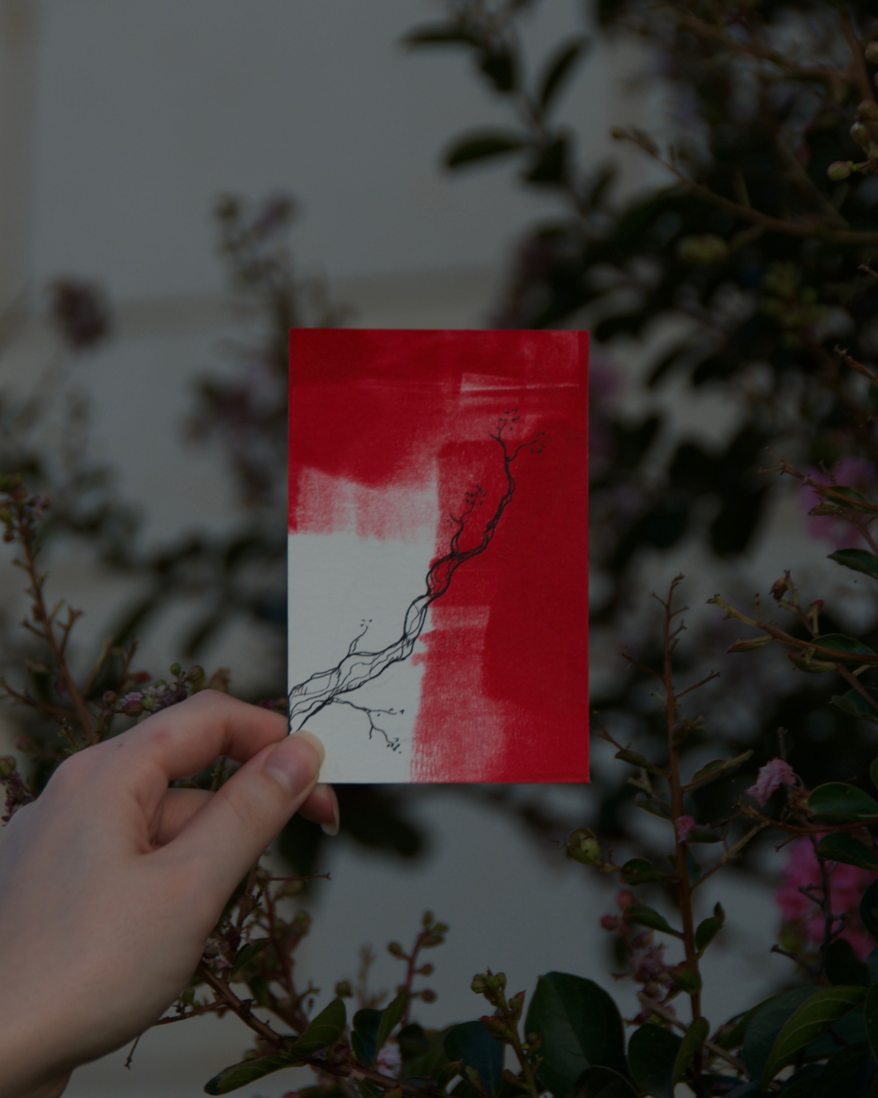 Crimson Collection