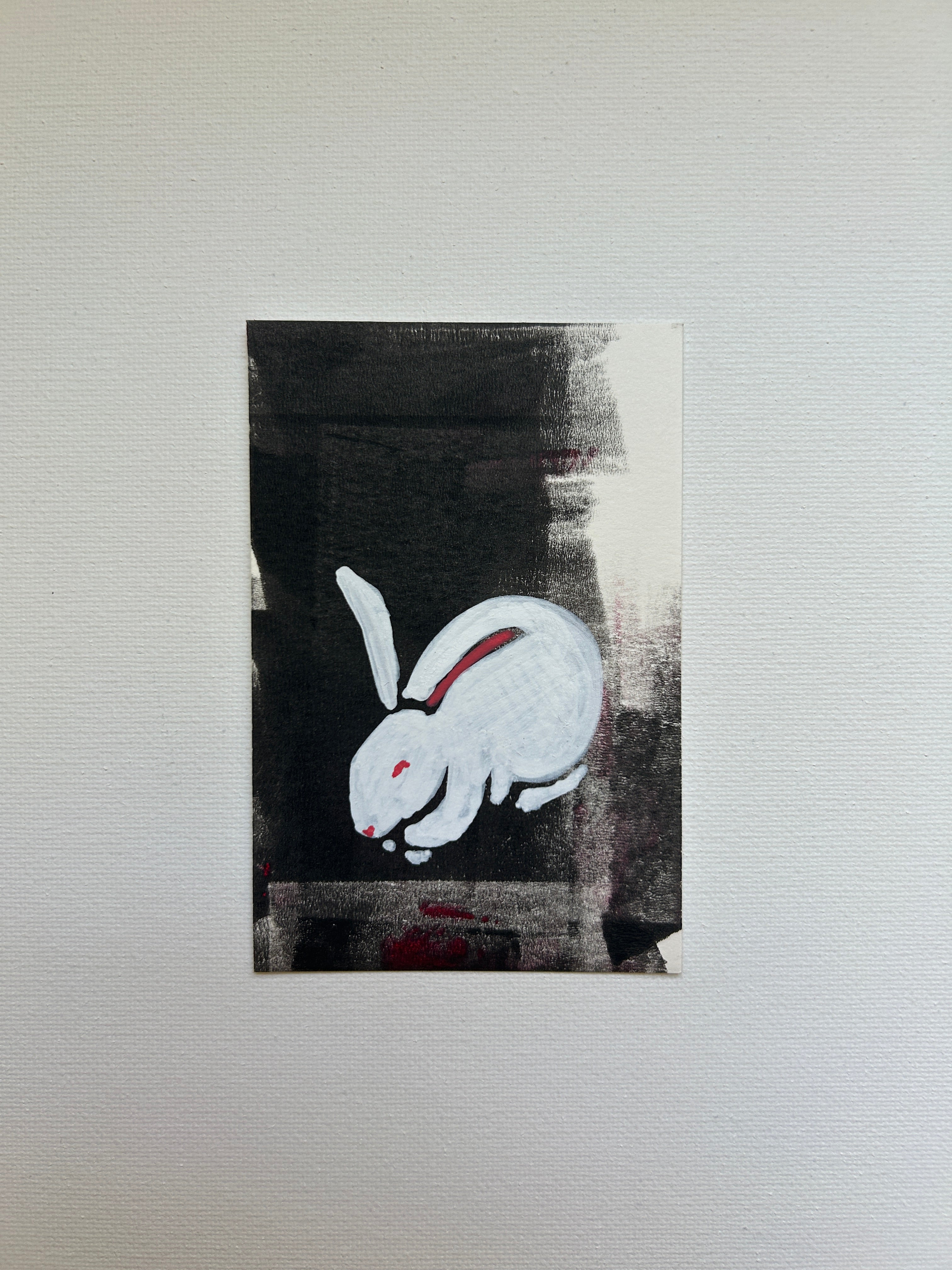 The rabbit